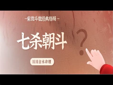 七煞 意思|七煞格